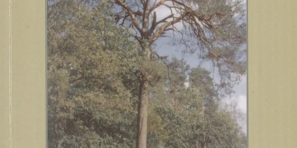 Die Gründe Heide - Günter Kunert