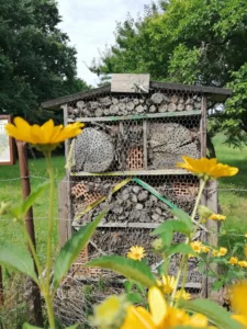 Heimatmuseum Erkner - Sonnenluch Bienenhotel
