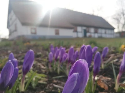 Heimatmuseum Erkner - Kolonistenhaus Frühling